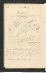 Seite 71, Tagebuch "Dürnstein | Wöbling - neol. | Höbenbach | Kl. Rust | Noppendorf" (NHMW-PRAE-BBB-45)